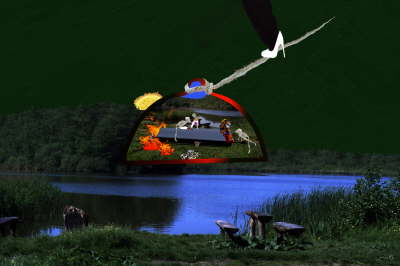 6